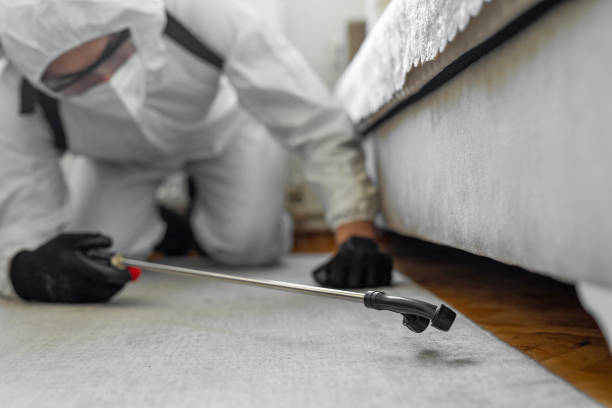 Professional Bed Bug Control technician working in Melrose, MN